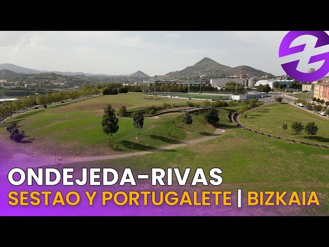 Cargar video: {{ descripción }}